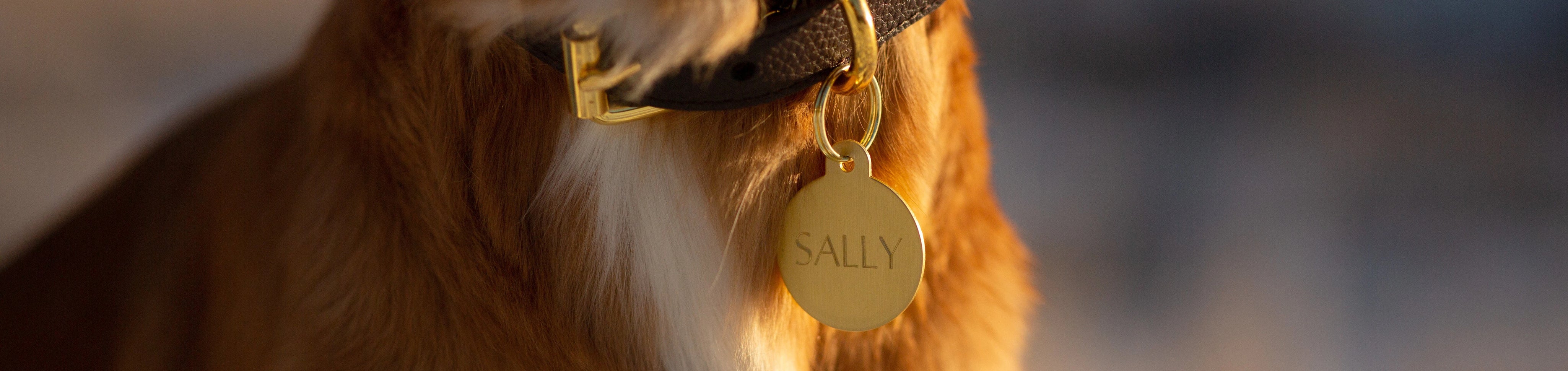 Engraved Dog ID Tags