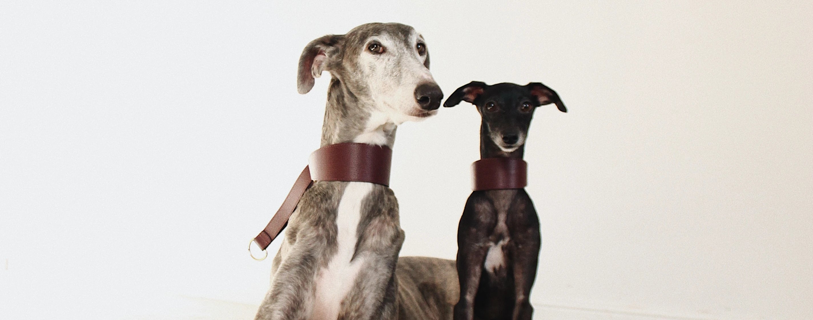 Martingale Collars