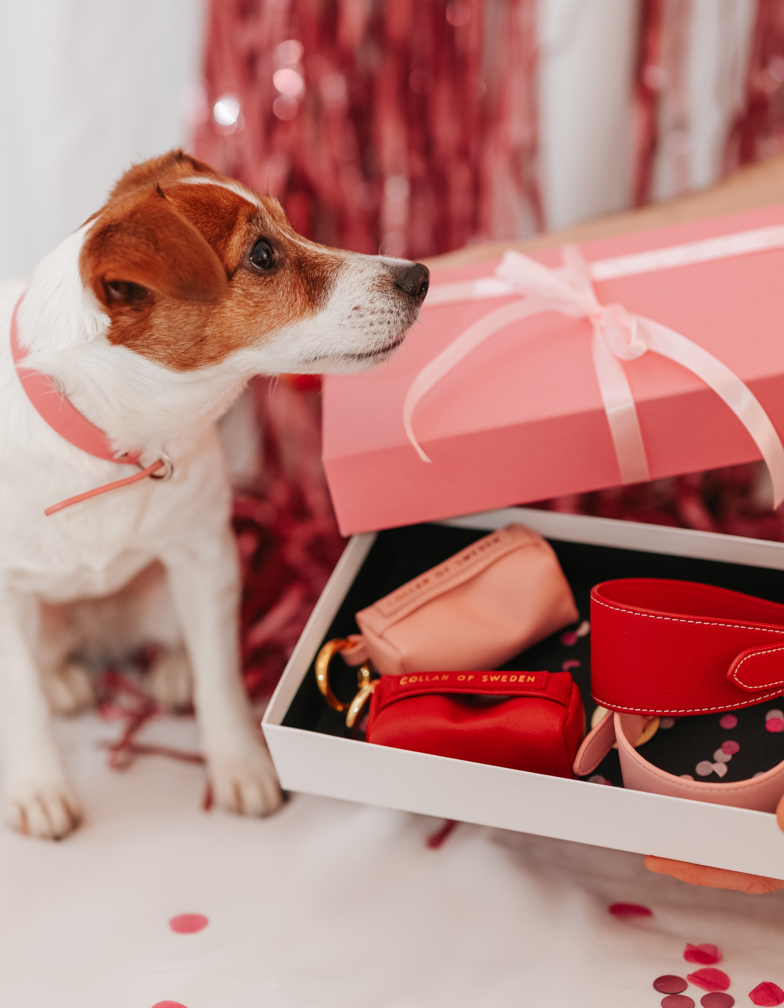 Valentines Collection