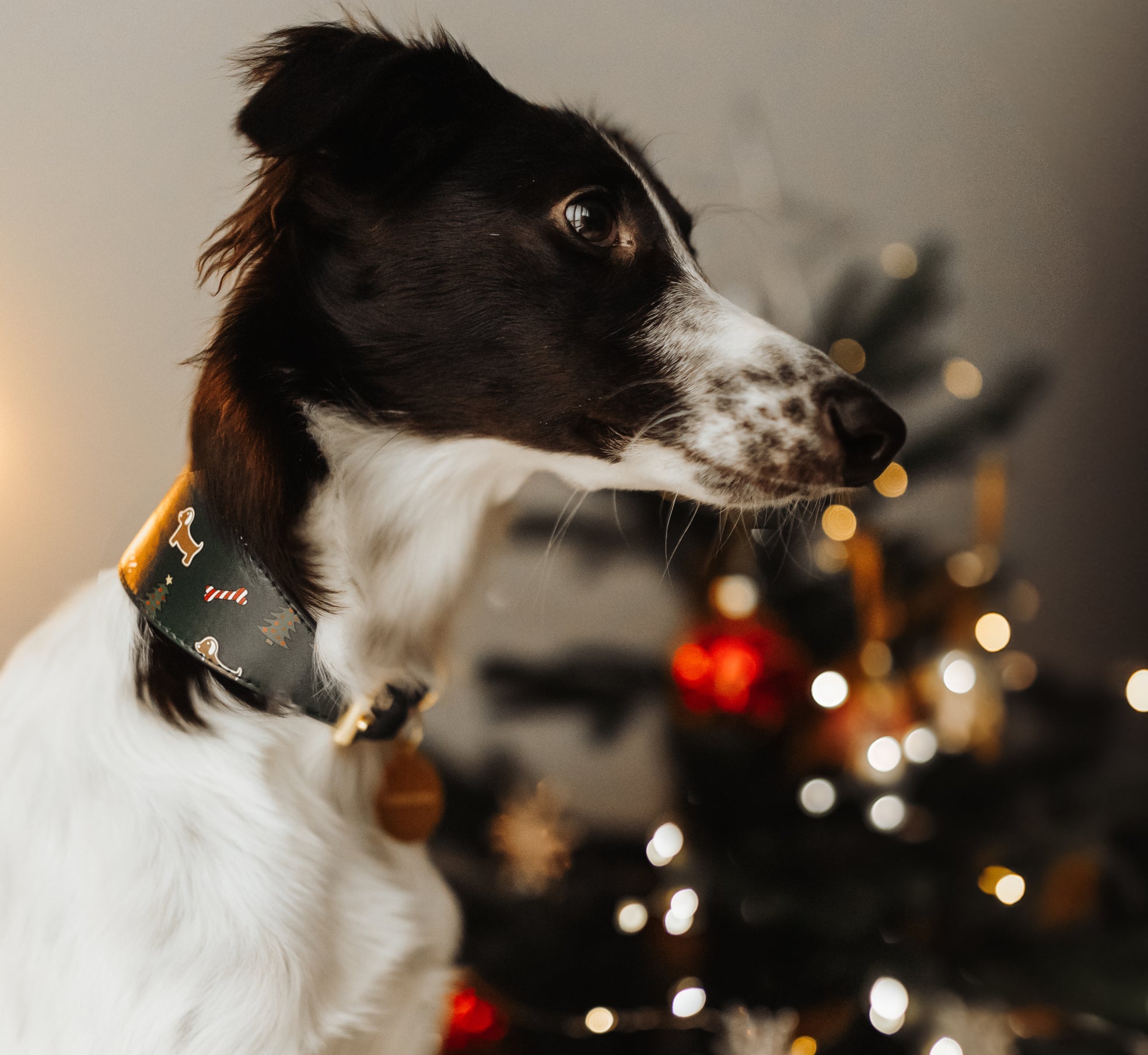 Christmas Collection