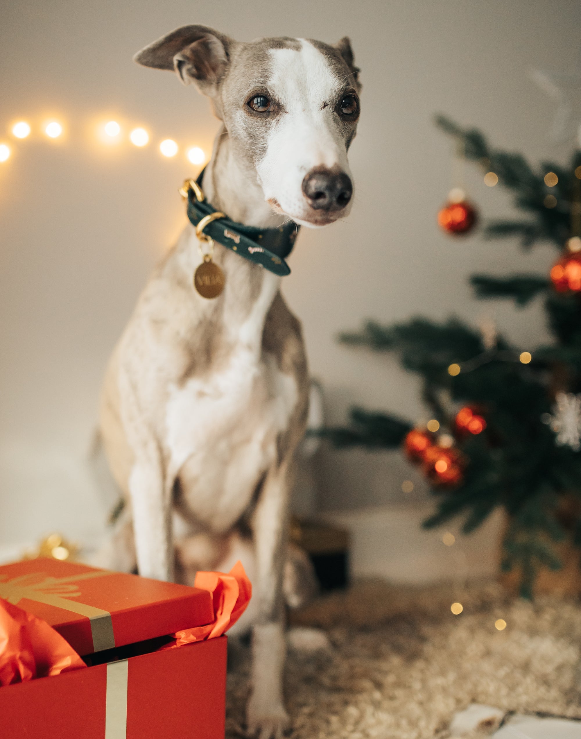 Christmas Gift Guide