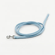 Baby Blue Dog Lead