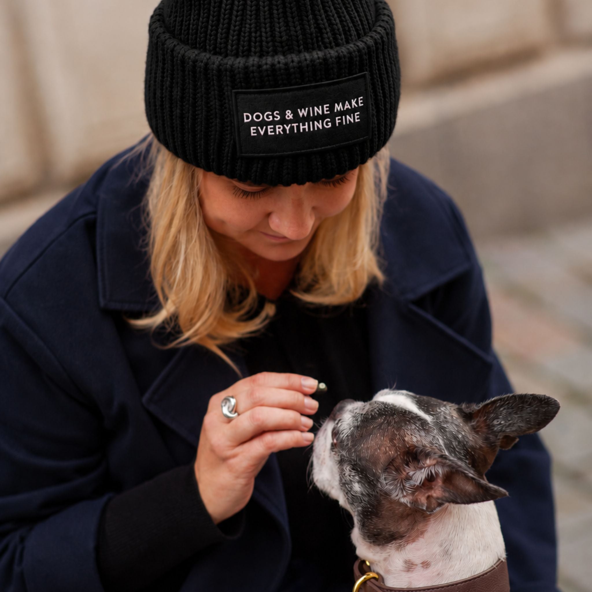Black Wool Beanie - Dogs & Wine Make Everything Fine