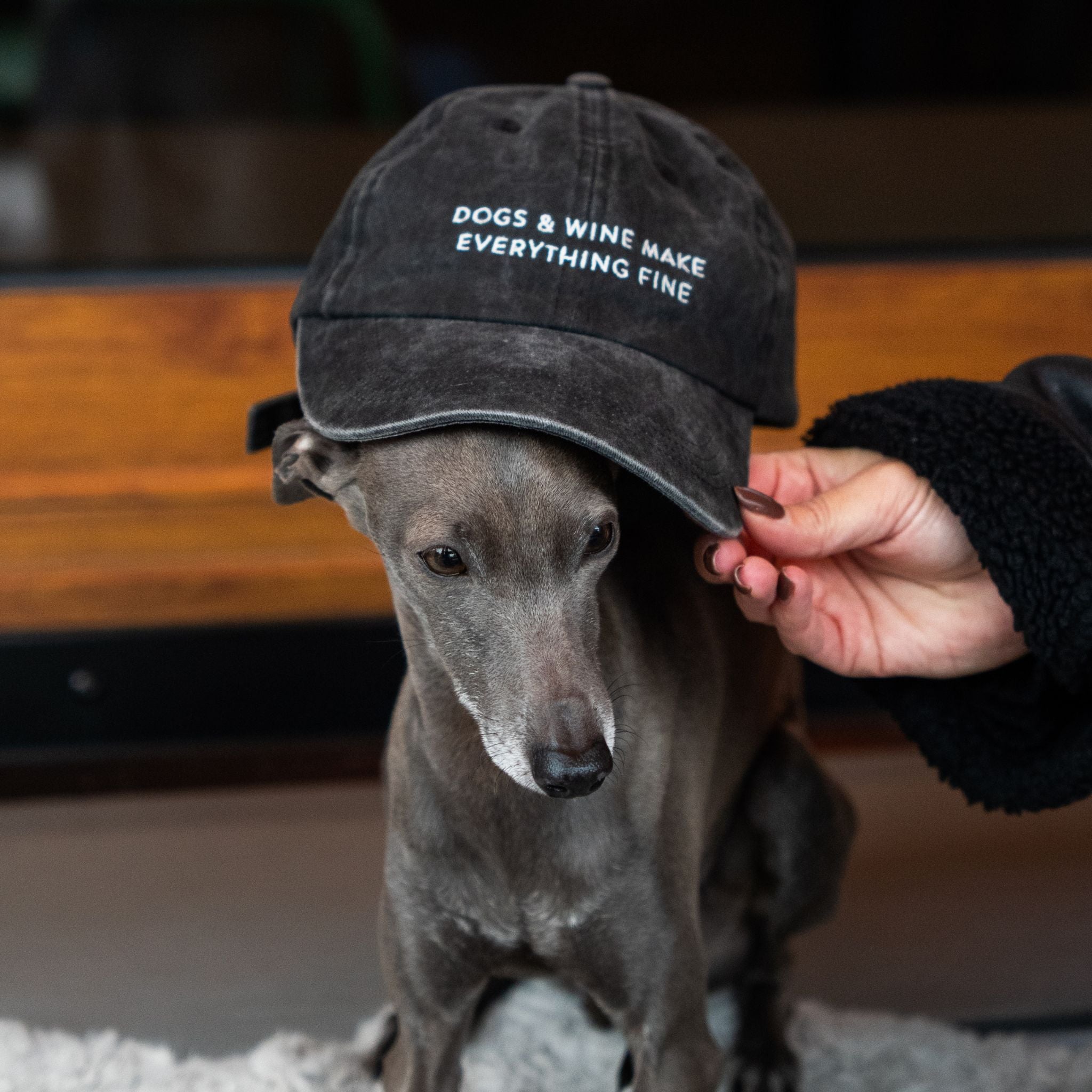 Black Denim Cap - Dogs & Wine Make Everything Fine