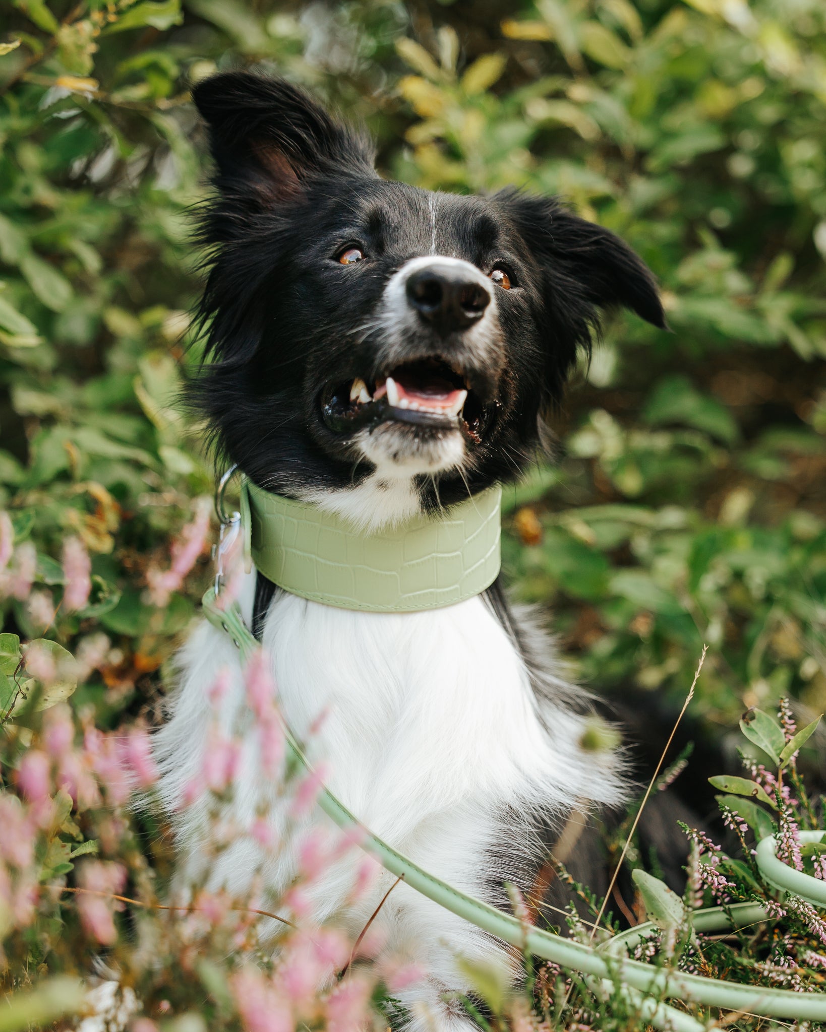 Pastel Green Croco Dog Collar Wide