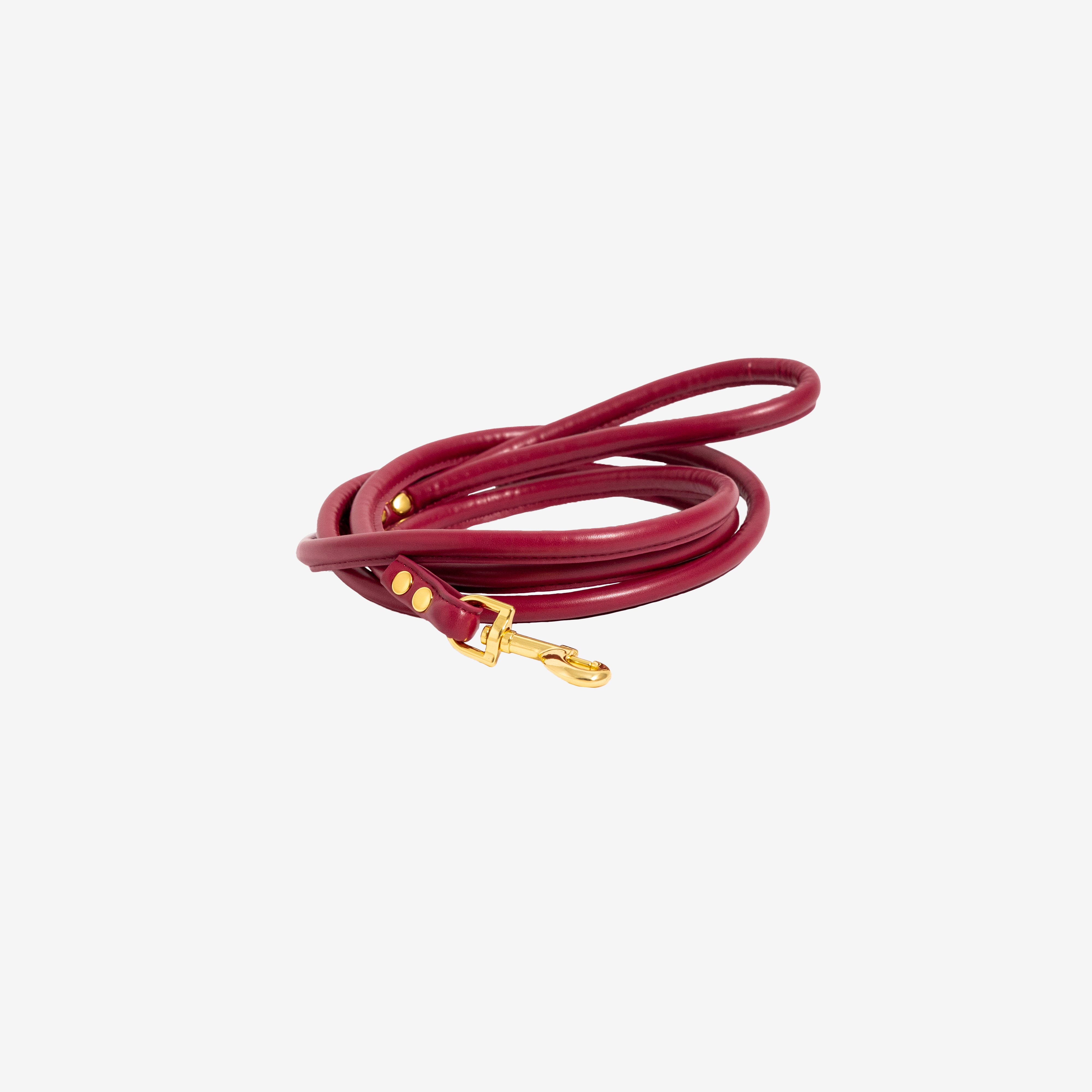 burgundy--dog-lead-medium.jpg