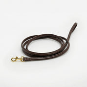 Coffee Brown Dog Lead