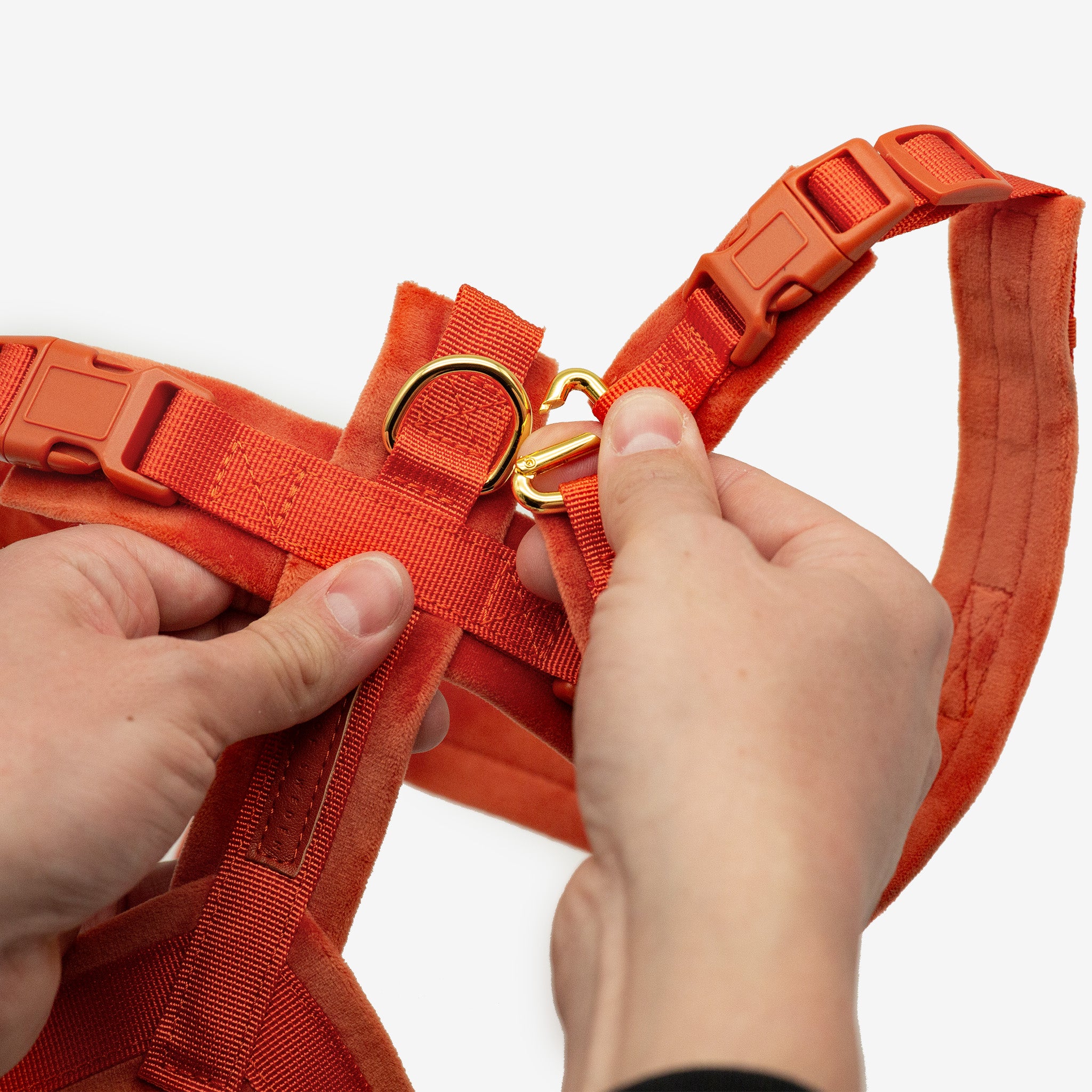 Cognac Y-Harness XS