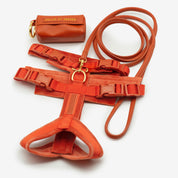 Cognac Y-Harness XS