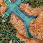 Dark Green Y-Harness