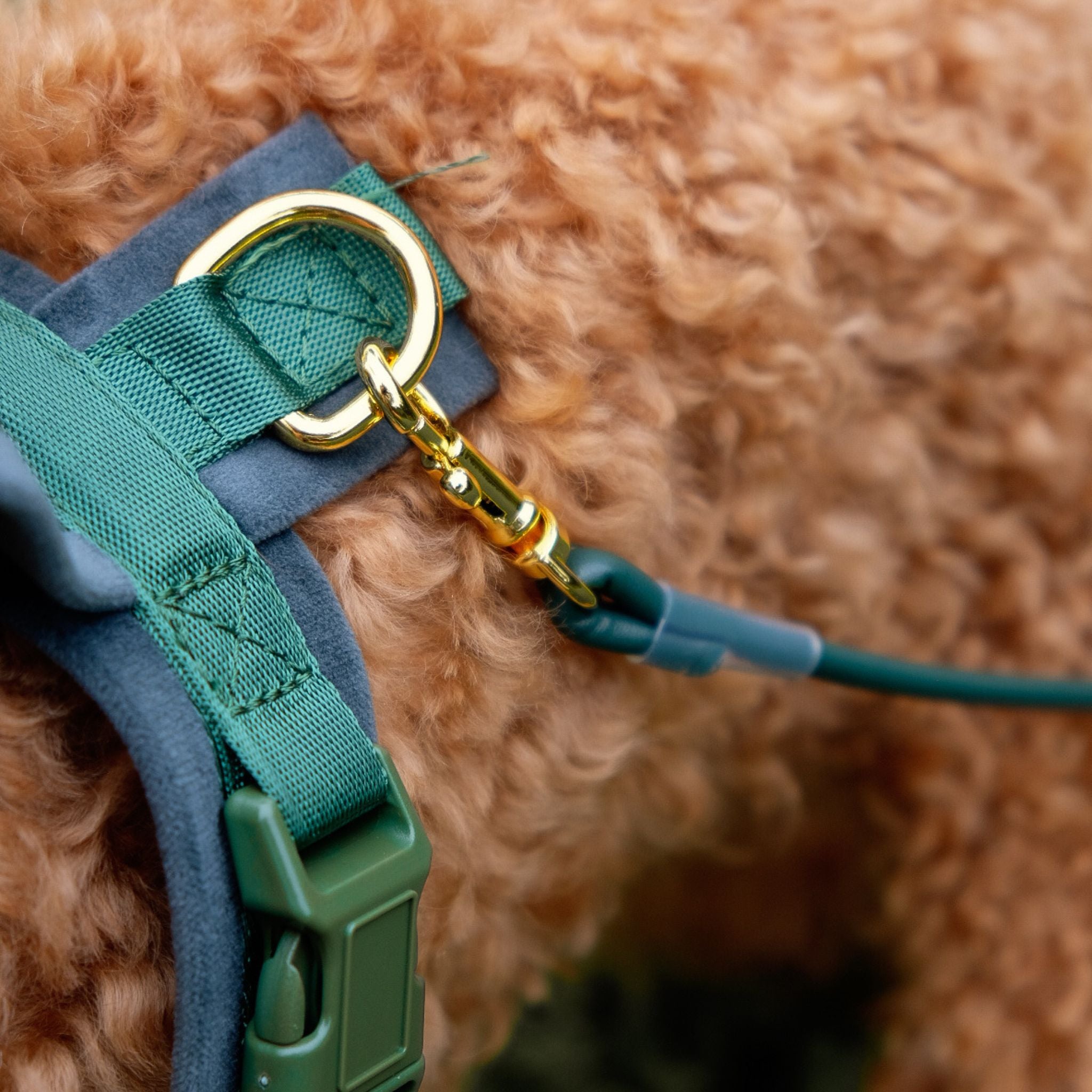 Dark Green Y-Harness
