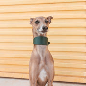 Dark Green Dog Collar Wide