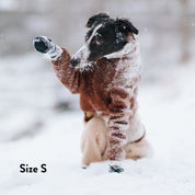 Dog Socks - 4 pack