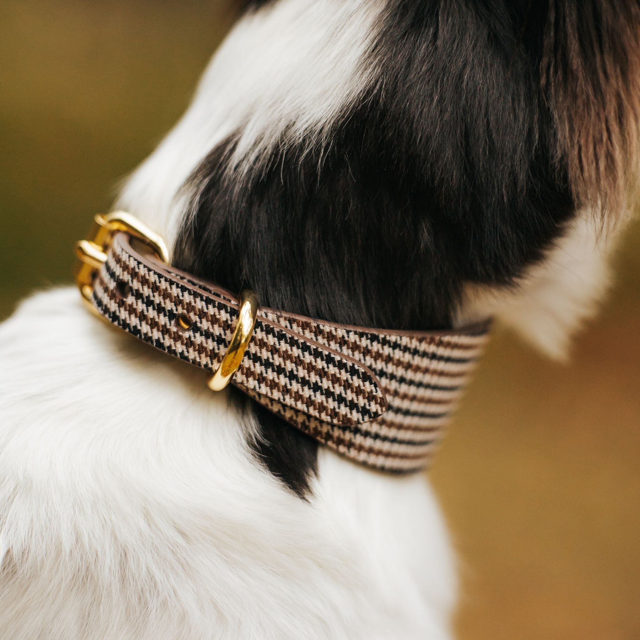Houndstooth Dog Collar Wide