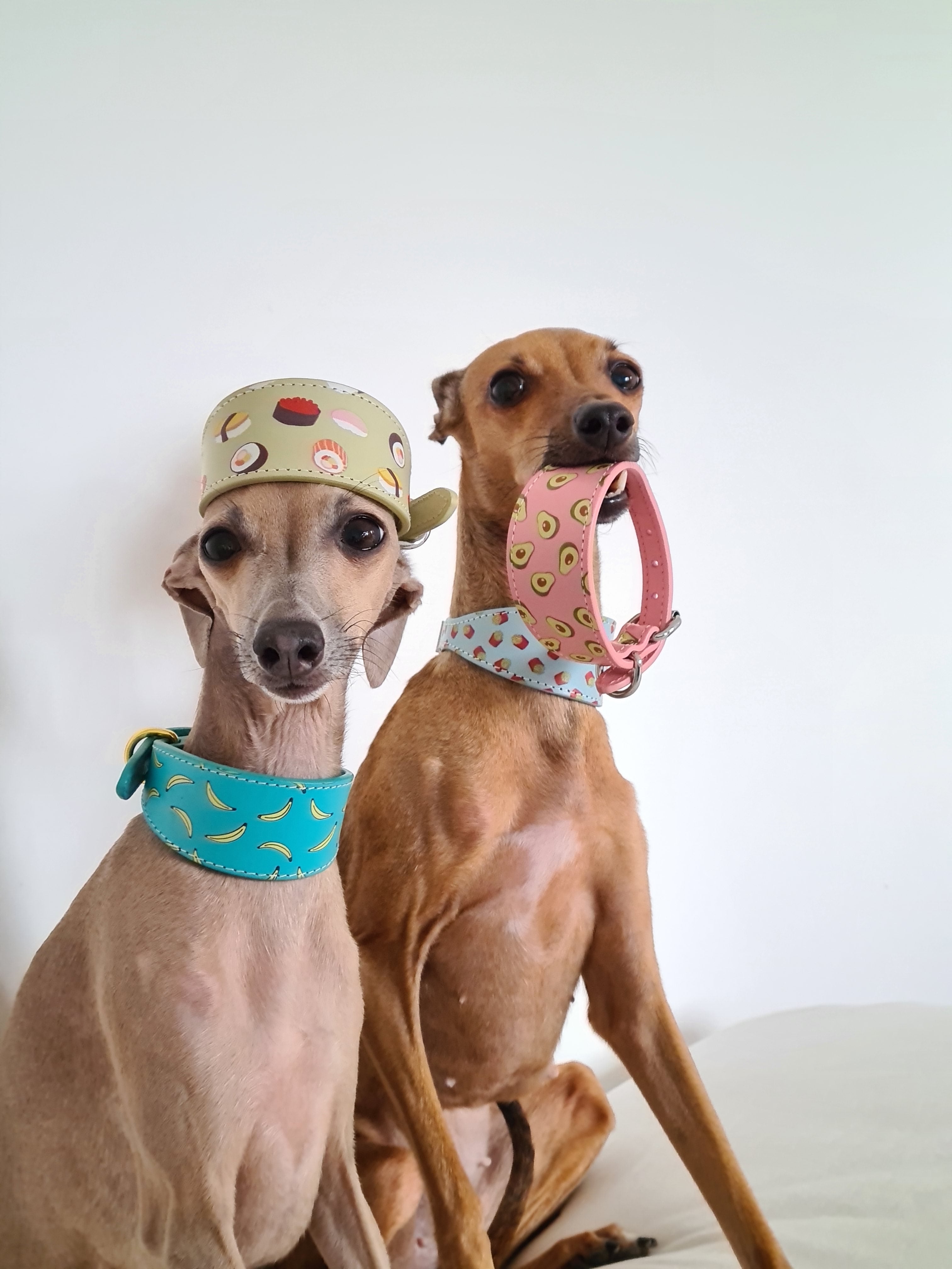 Bananas Dog Collar Wide