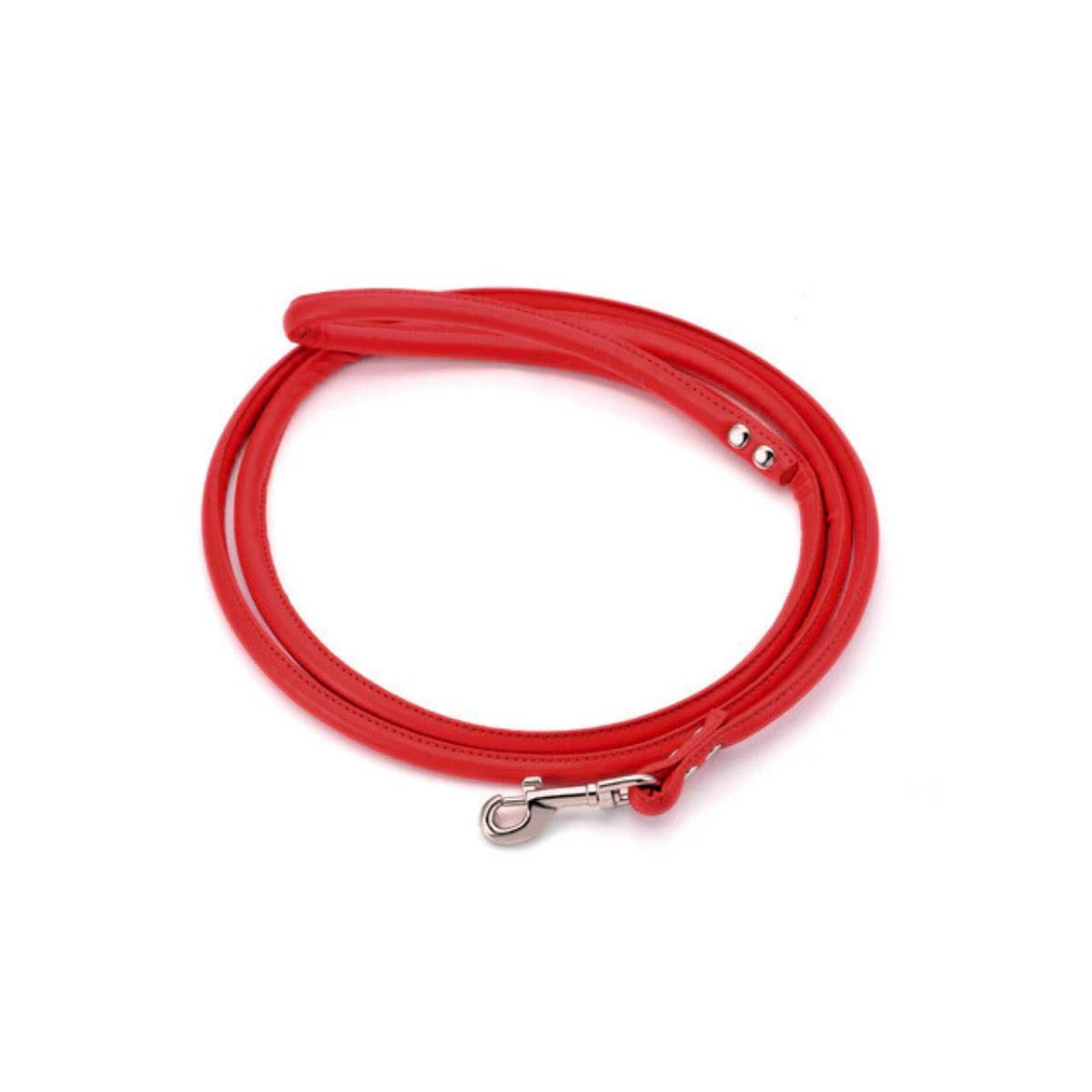 light-red-dog-lead-medium.jpg
