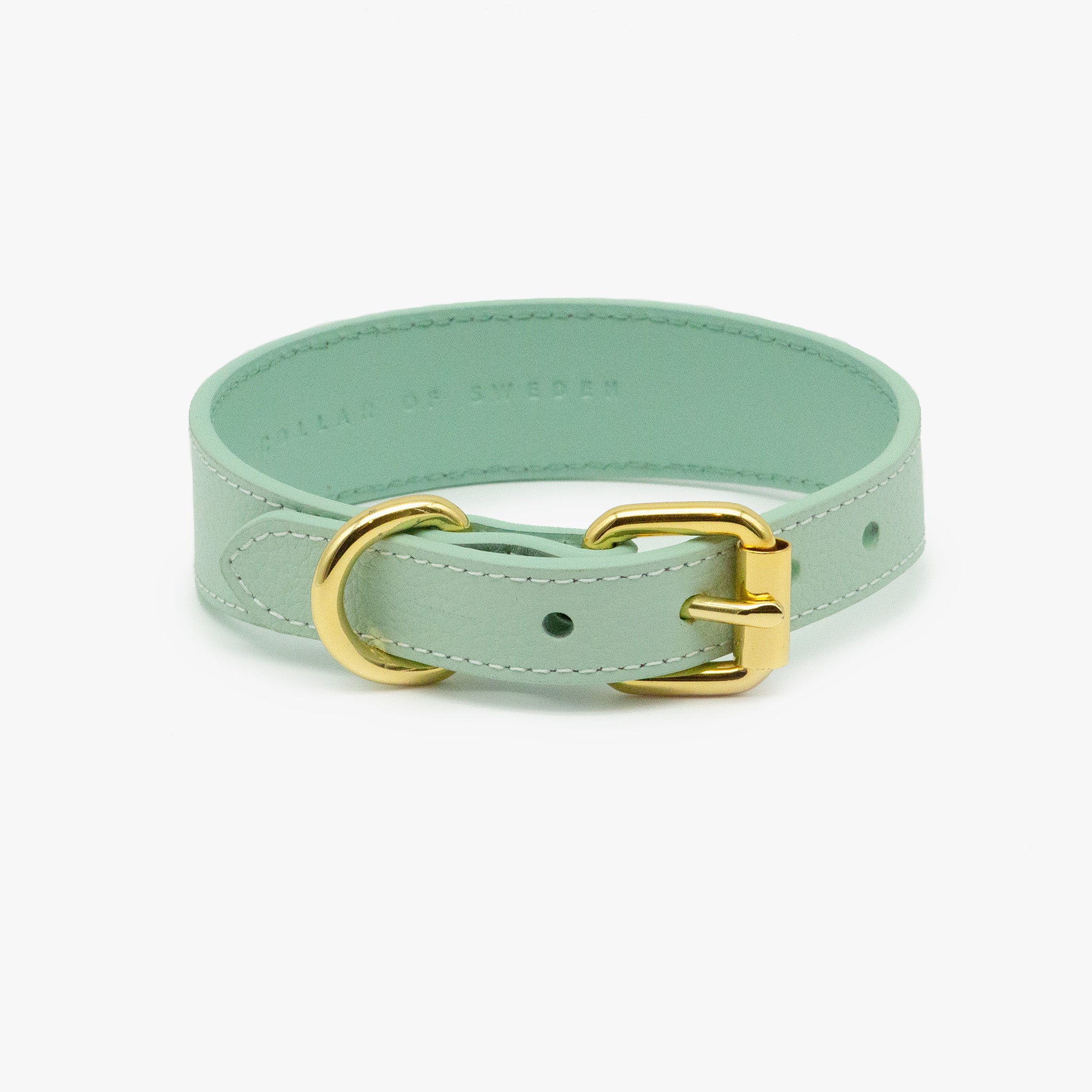 mint-dog-collar-thin-back.jpg