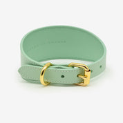 Mint Dog Collar Wide