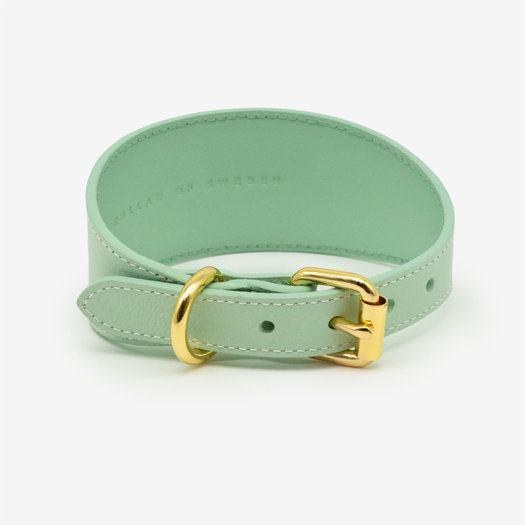 mint-dog-collar-wide-back.jpg