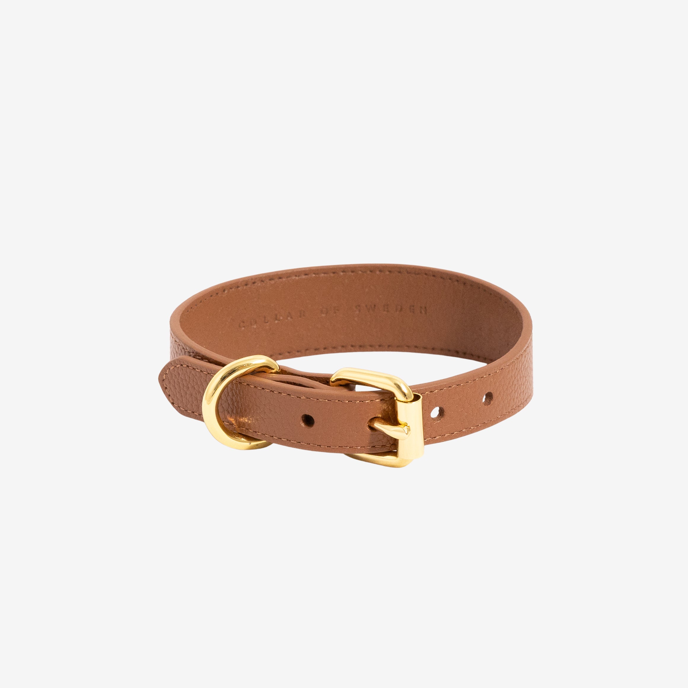 mocca-brown-dog-collar-thin-buckle.jpg