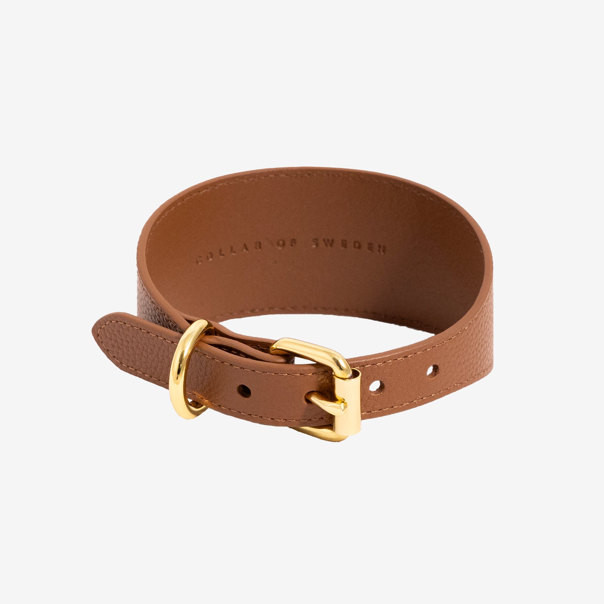 mocca-browndog-collar-wide-buck.jpg