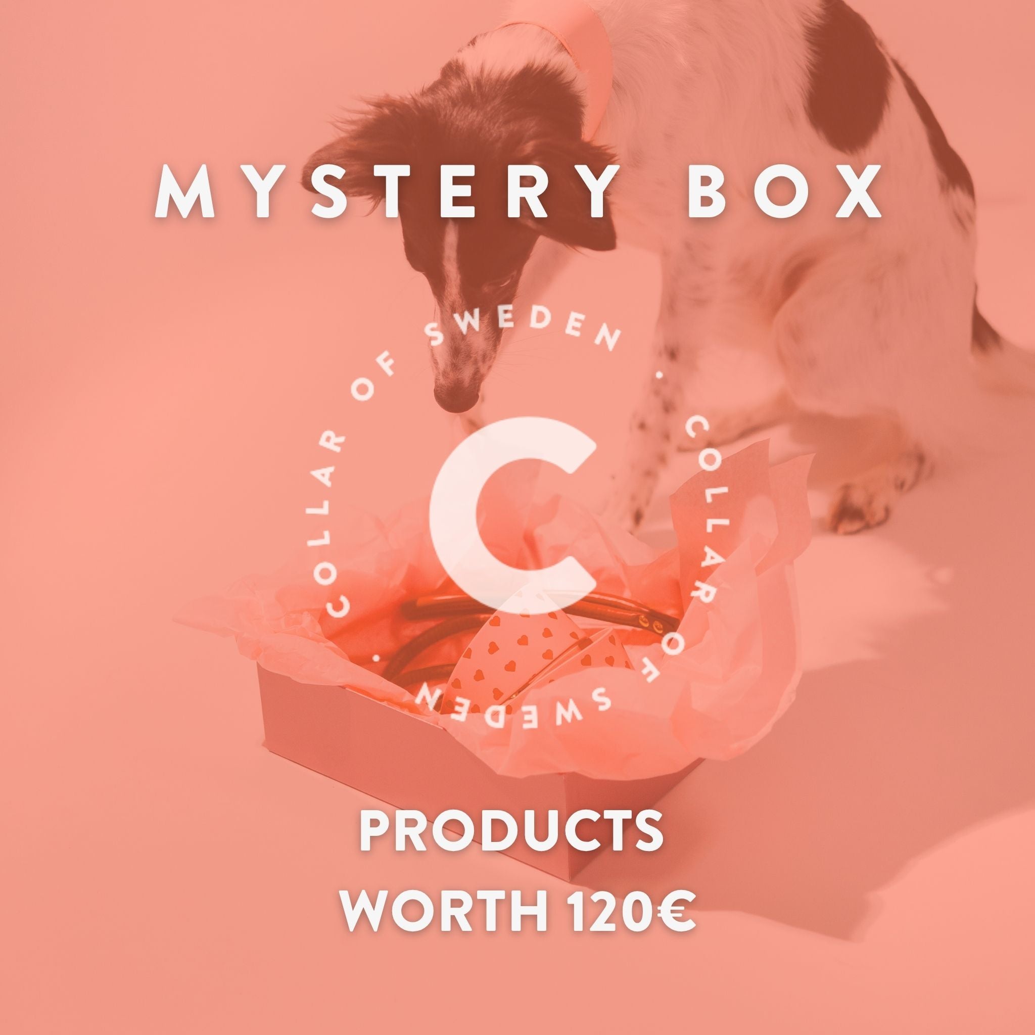 mystery-box-product-image.jpg