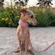 Pink Glitter Dog Collar Wide