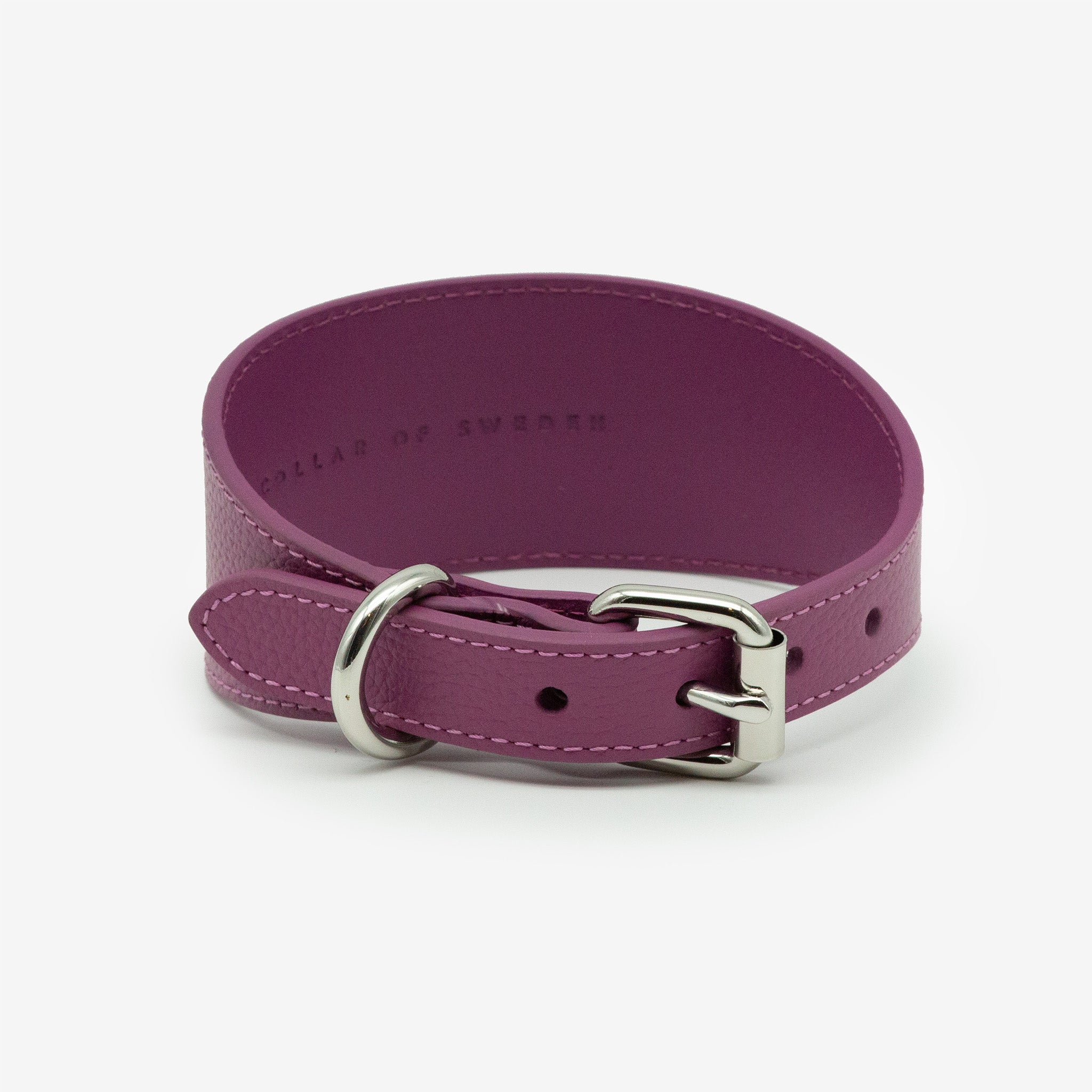 purple-dog-collar-wide-back.jpg