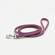 Purple Dog Lead