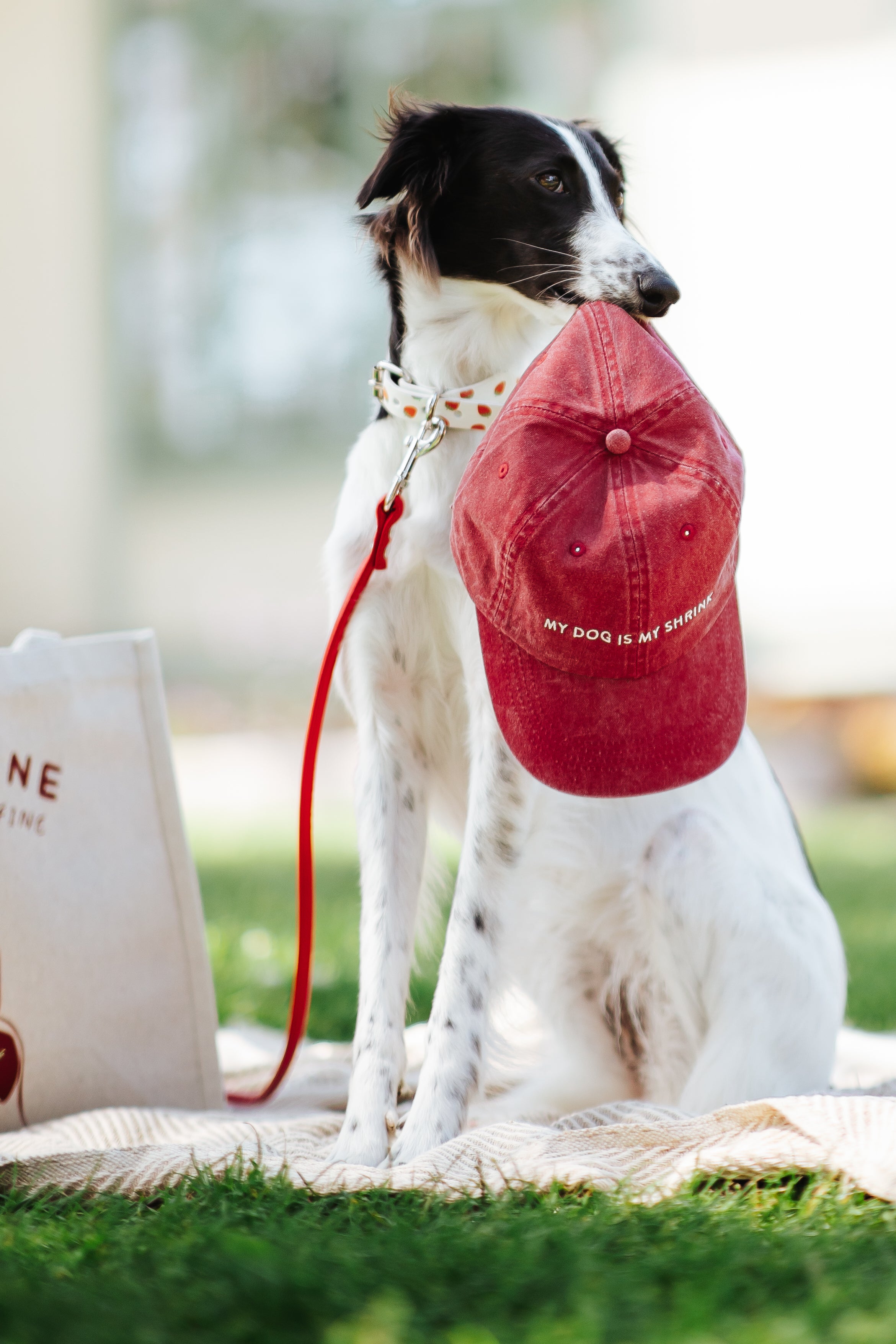 Red Denim Cap - My Dog Is My Shrink