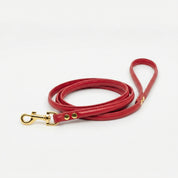 Red Dog Lead