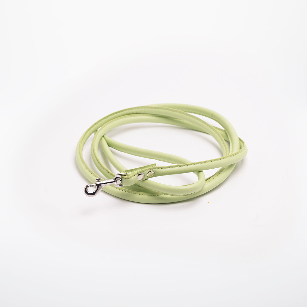 image - Pastel Green Vegan Lead Medium